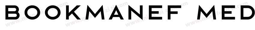BookmanEF Medium字体转换